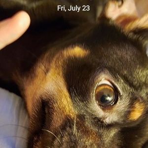 Meet your Posher, Kim